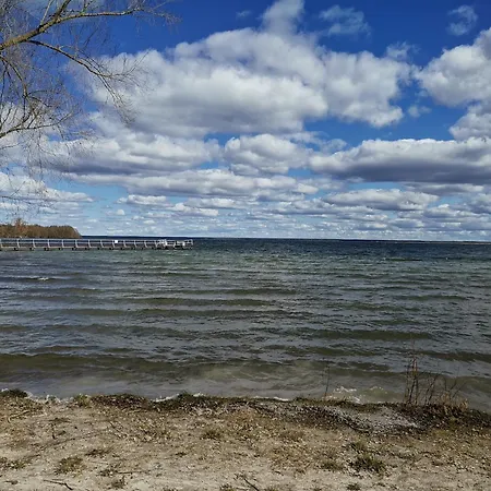 Seeadler Im Mueritz Seepark